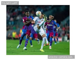 记者称阿隆索已被解雇只差官宣，阿韦洛亚或接任