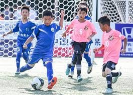 专业足球场！南方财经：深圳新鹏城新赛季首个主场已出票近3万张